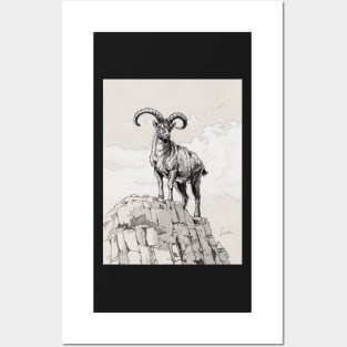 Ibex on rock Posters and Art